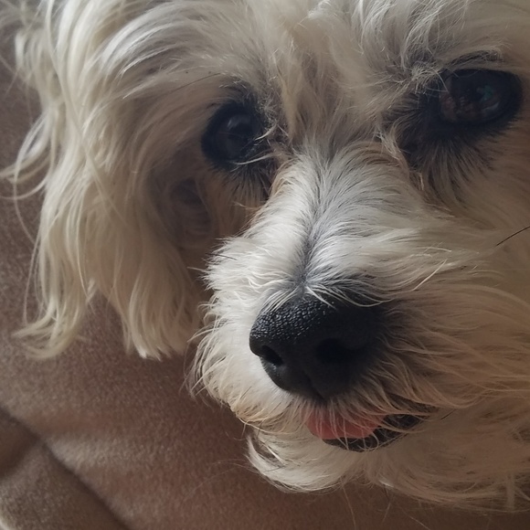 Meet your Posher, Mary - Picture 1 of 1